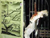 丹东市振兴区派特生物皮肤病研究所
