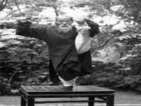 丹东市振兴区派特生物皮肤病研究所