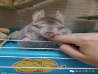 丹东市振兴区派特生物皮肤病研究所