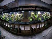 丹东市振兴区派特生物皮肤病研究所
