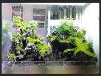 丹东市振兴区派特生物皮肤病研究所