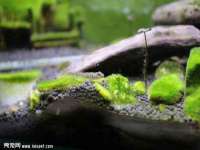 丹东市振兴区派特生物皮肤病研究所