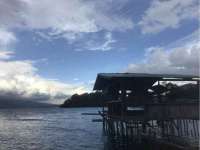 丹东市振兴区派特生物皮肤病研究所