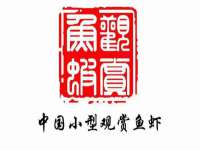 丹东市振兴区派特生物皮肤病研究所