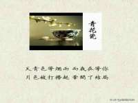 丹东市振兴区派特生物皮肤病研究所