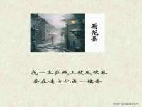 丹东市振兴区派特生物皮肤病研究所