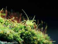 丹东市振兴区派特生物皮肤病研究所