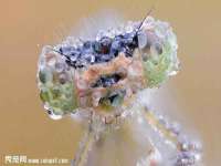 丹东市振兴区派特生物皮肤病研究所