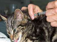 丹东市振兴区派特生物皮肤病研究所