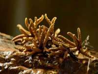 丹东市振兴区派特生物皮肤病研究所