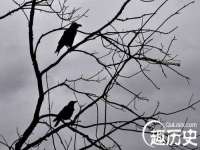 丹东市振兴区派特生物皮肤病研究所