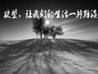 丹东市振兴区派特生物皮肤病研究所