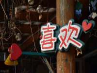 丹东市振兴区派特生物皮肤病研究所
