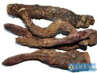 丹东市振兴区派特生物皮肤病研究所