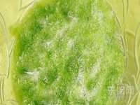 丹东市振兴区派特生物皮肤病研究所