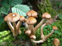 丹东市振兴区派特生物皮肤病研究所