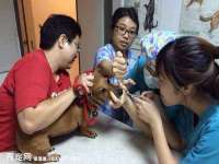 丹东市振兴区派特生物皮肤病研究所
