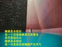 丹东市振兴区派特生物皮肤病研究所