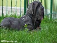 丹东市振兴区派特生物皮肤病研究所