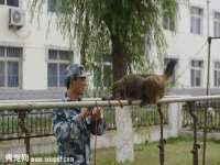 丹东市振兴区派特生物皮肤病研究所