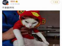 丹东市振兴区派特生物皮肤病研究所