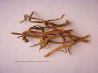 丹东市振兴区派特生物皮肤病研究所