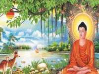 丹东市振兴区派特生物皮肤病研究所