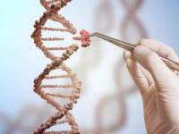 丹东市振兴区派特生物皮肤病研究所