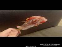 丹东市振兴区派特生物皮肤病研究所