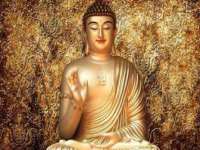 丹东市振兴区派特生物皮肤病研究所