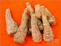 丹东市振兴区派特生物皮肤病研究所